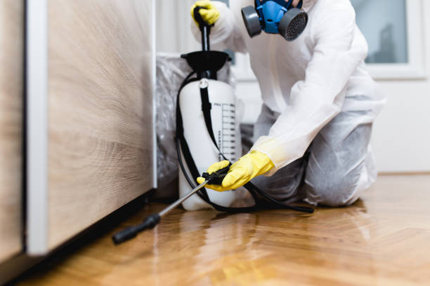 Pest Prevention Services in Kiefer, OK
