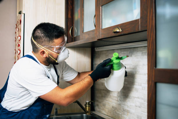 Best Mosquito Control Services  in Kiefer, OK