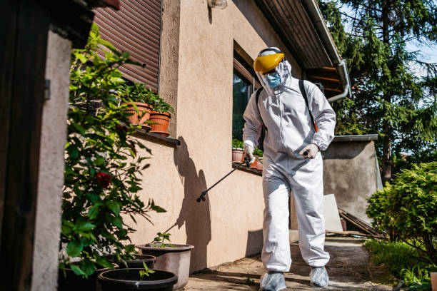 Reliable Kiefer, OK Pest Control Solutions
