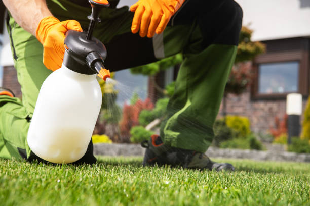 Best Exterminator Services  in Kiefer, OK