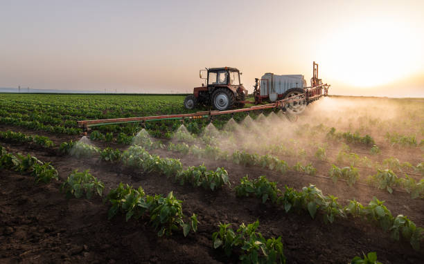 Best Best Pest Control Companies  in Kiefer, OK