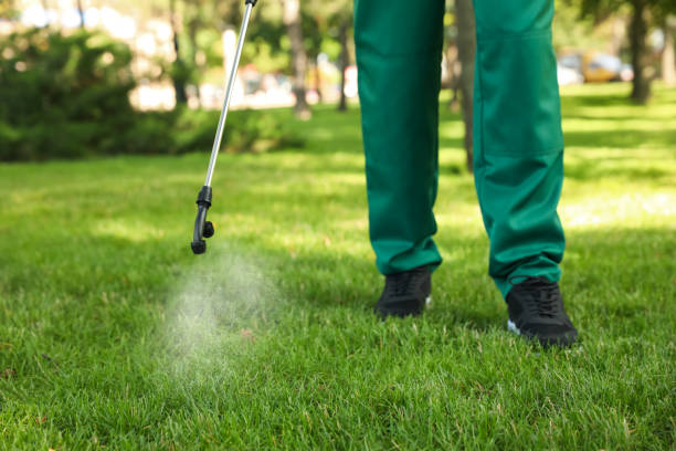 Wasp Removal Services in Kiefer, OK