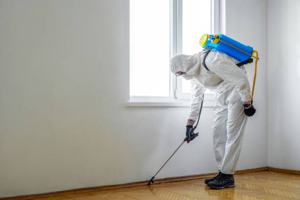 Best Mosquito Control Services  in Kiefer, OK